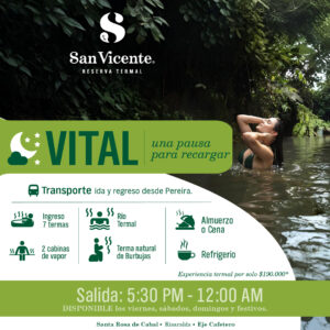 Experiencia Vital Noche